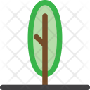 پیش‌نمایش فایل tree-977 از پک م درخت