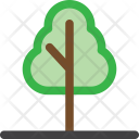 پیش‌نمایش فایل tree-982 از پک م درخت