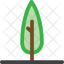 پیش‌نمایش فایل tree-983 از پک م درخت