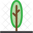 پیش‌نمایش فایل tree-984 از پک م درخت