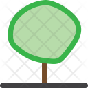پیش‌نمایش فایل tree-985 از پک م درخت