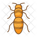 پیش‌نمایش فایل bee-1491395 از پک حشرات