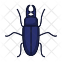 پیش‌نمایش فایل beetle-1491394 از پک حشرات