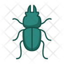 پیش‌نمایش فایل beetle-1491398 از پک حشرات