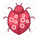 پیش‌نمایش فایل garden-bug-1491407 از پک حشرات