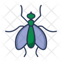 پیش‌نمایش فایل insect-1491397 از پک حشرات