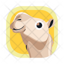 پیش‌نمایش فایل camel-3222785 از پک حیوانات