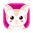 پیش‌نمایش فایل kitten-3222794 از پک حیوانات