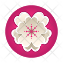 پیش‌نمایش فایل flower-3304217 از پک جشنواره شکوفه گیلاس
