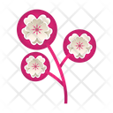 پیش‌نمایش فایل flower-3304220 از پک جشنواره شکوفه گیلاس