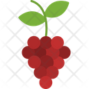 پیش‌نمایش فایل grapes-8734130 از پک غذا و سبزیجات
