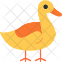 پیش‌نمایش فایل duck-8733791 از پک کشاورزی و باغبانی