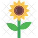 پیش‌نمایش فایل sunflower-8733743 از پک کشاورزی و باغبانی