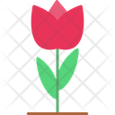 پیش‌نمایش فایل tulip-8733745 از پک کشاورزی و باغبانی