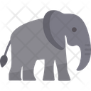 پیش‌نمایش فایل elephant-8812080 از پک کمپینگ
