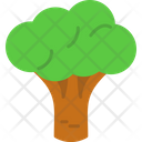 پیش‌نمایش فایل broccoli-8805787 از پک فروشگاه بزرگ