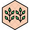 پیش‌نمایش فایل agriculture-8870492 از پک کشاورزی و باغبانی