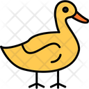 پیش‌نمایش فایل duck-8870514 از پک کشاورزی و باغبانی