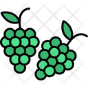پیش‌نمایش فایل grapes-8870529 از پک کشاورزی و باغبانی