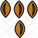 پیش‌نمایش فایل seeds-8870455 از پک کشاورزی و باغبانی