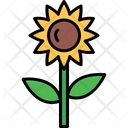 پیش‌نمایش فایل sunflower-8870465 از پک کشاورزی و باغبانی