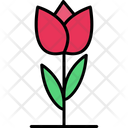 پیش‌نمایش فایل tulip-8870467 از پک کشاورزی و باغبانی