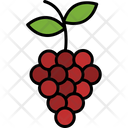 پیش‌نمایش فایل grapes-8870599 از پک غذا و سبزیجات
