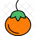 پیش‌نمایش فایل persimmon-8870553 از پک غذا و سبزیجات