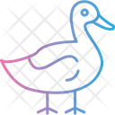 پیش‌نمایش فایل duck-8889756 از پک کشاورزی و باغبانی