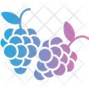 پیش‌نمایش فایل grapes-8889877 از پک کشاورزی و باغبانی