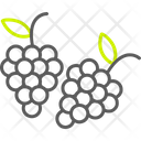 پیش‌نمایش فایل grapes-8911671 از پک کشاورزی و باغبانی