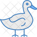 پیش‌نمایش فایل duck-8995486 از پک کشاورزی و باغبانی
