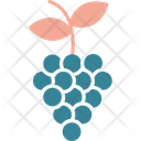 پیش‌نمایش فایل grapes-8988038 از پک غذا و سبزیجات