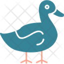 پیش‌نمایش فایل duck-8987955 از پک کشاورزی و باغبانی