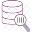 پیش‌نمایش فایل database-scanning-9032741 از پک میزبانی وب
