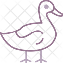 پیش‌نمایش فایل duck-9034369 از پک کشاورزی و باغبانی