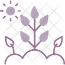 پیش‌نمایش فایل farming-9034376 از پک کشاورزی و باغبانی