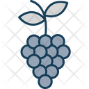 پیش‌نمایش فایل grapes-9051356 از پک غذا و سبزیجات