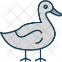 پیش‌نمایش فایل duck-9051283 از پک کشاورزی و باغبانی