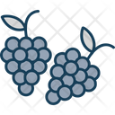 پیش‌نمایش فایل grapes-9051298 از پک کشاورزی و باغبانی