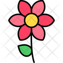پیش‌نمایش فایل flower-9961389 از پک تعطیلات