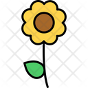 پیش‌نمایش فایل flower-9961390 از پک تعطیلات