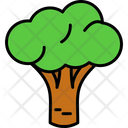 پیش‌نمایش فایل broccoli-9970211 از پک فروشگاه بزرگ