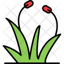 پیش‌نمایش فایل botany-10005362 از پک کمپینگ