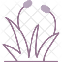 پیش‌نمایش فایل botany-11139350 از پک کمپینگ