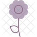 پیش‌نمایش فایل flower-11122135 از پک تعطیلات