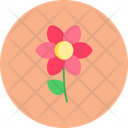 پیش‌نمایش فایل flower-11232949 از پک تعطیلات