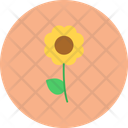 پیش‌نمایش فایل flower-11232950 از پک تعطیلات