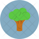 پیش‌نمایش فایل broccoli-11233822 از پک فروشگاه بزرگ