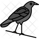 پیش‌نمایش فایل crow-11373101 از پک هالووین